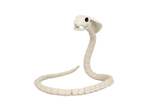 Käärmeen luuranko, 102 cm