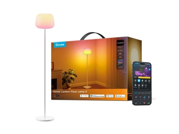 Govee Lantern Floor Lamp
