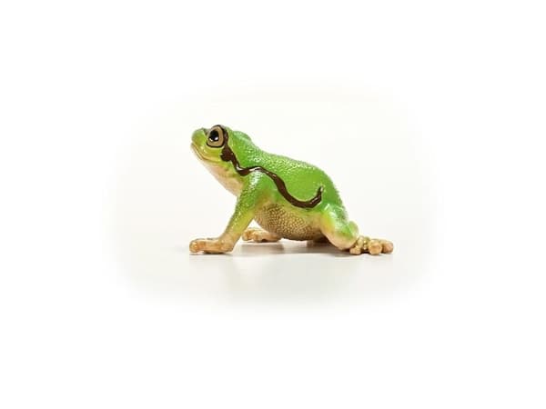 Schleich European Tree Frog