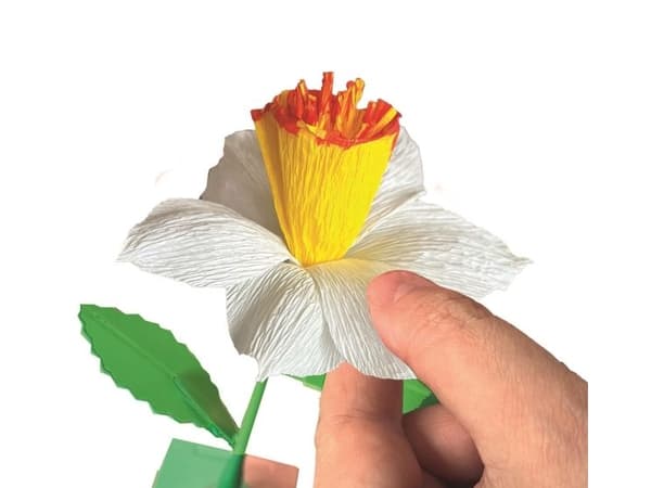 CLE IDEA Mini blomsterfabrikk Narcissus 18180