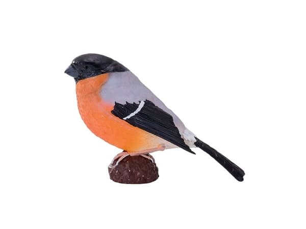Bändelörn