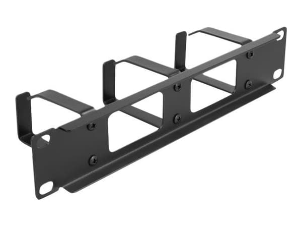 Delock - Panel för kabelhantering - with 2 openings and 3 hooks - svart - 1U - 10"