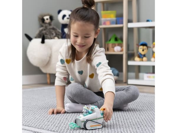 Playset Spin Master Paw Patrol Everest