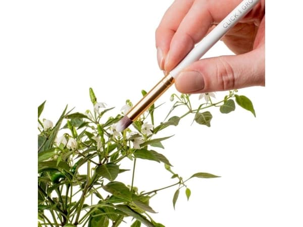 Click & Grow odlingstillbehör kit
