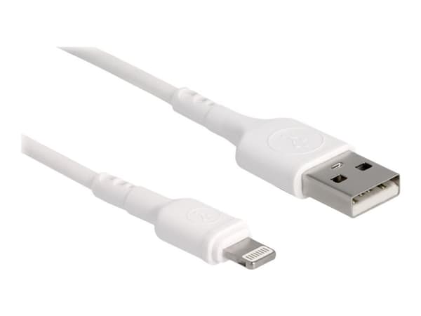 Delock - Lightning-kabel - USB hann til Lightning hann - 30 cm - hvit