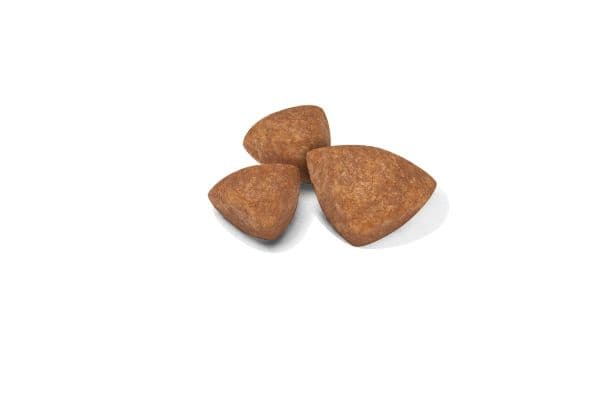 Royal Canin X-small Puppy torrfoder för valpar – 3 kg