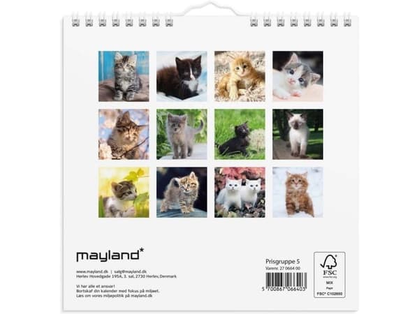 Väggkalender mini Kattungar 2027
