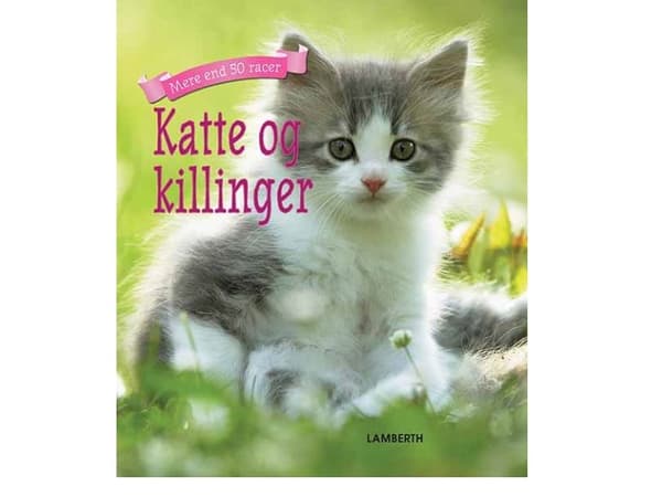 Katte og killinger | Christian Lamberth