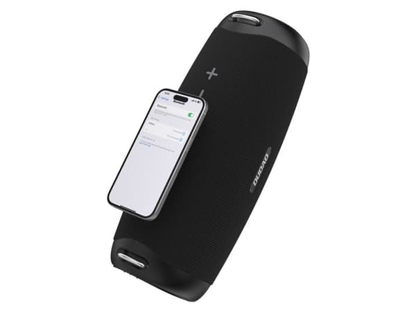 Dudao Y21Pro Wireless Speaker with RGB Backlight Bluetooth 5.3 - Black