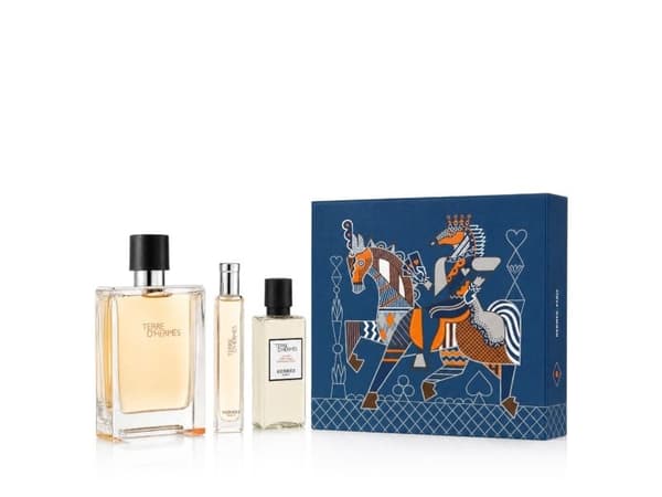 Hermes Terre D'Hermes EdT -sarja 100 ml, 15 ml, Asl 40 ml