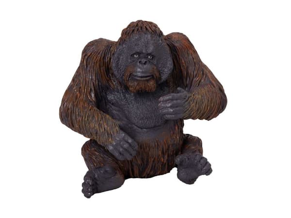 Mojo Orangutan