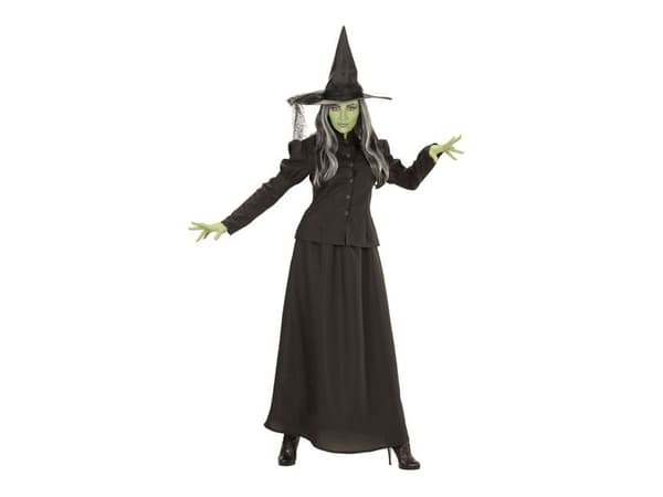 Fairytale Witch kostym
