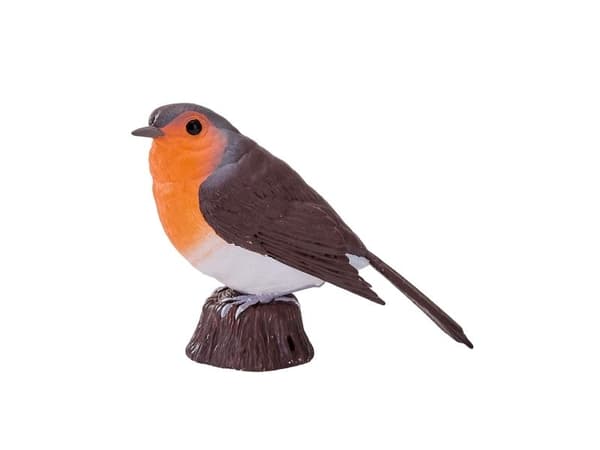 Robin