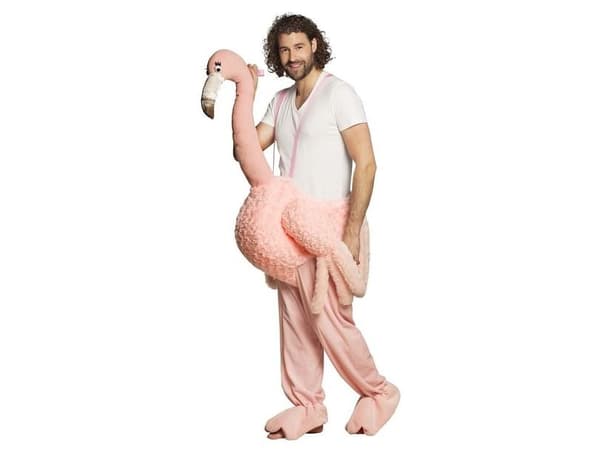 Flamingo puvussa