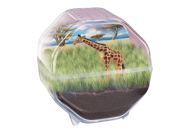 Mini terrarium - giraff