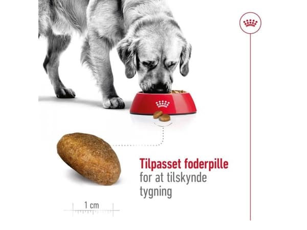 Royal Canin Maxi Adult tørfoder til hund - 10 kg