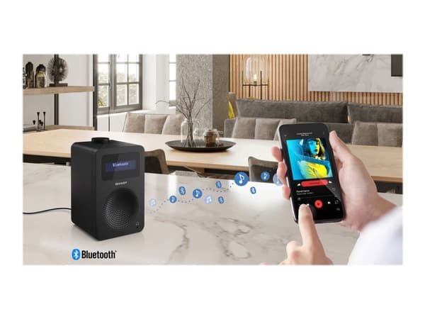 Sharp DR-430 - DAB+ radio - 5 watt (Total) - midnatts sort