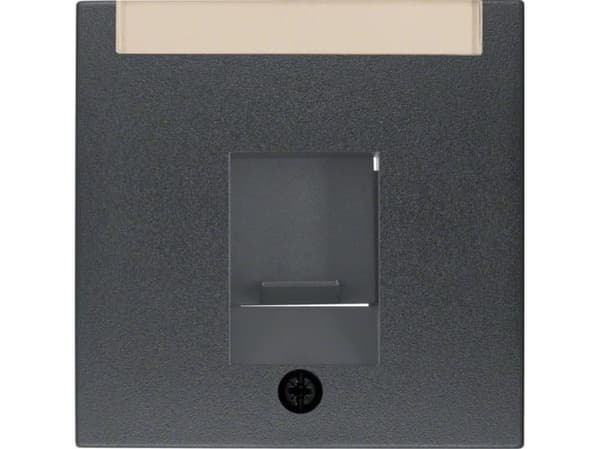ZSTK.M.STAUBSCHUTZ 1-fack anthracit (Berker)