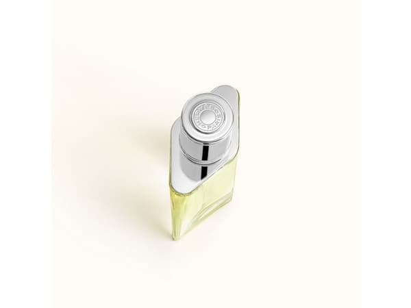 Hermes H24 Edt Spray - Mies - 50 ml