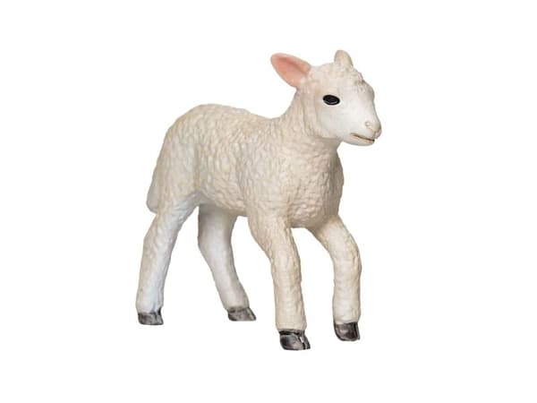 Mojo Romney Lamb Running
