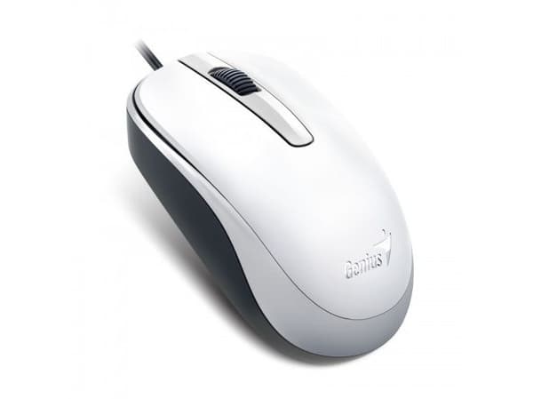 Genius Computer Technology DX-120, Ambidekstriøs, Optisk, USB Type-A, 1000 DPI