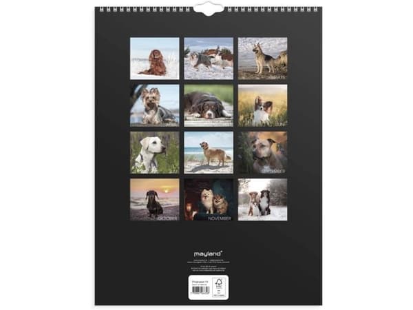 Väggkalender Hundar 2027