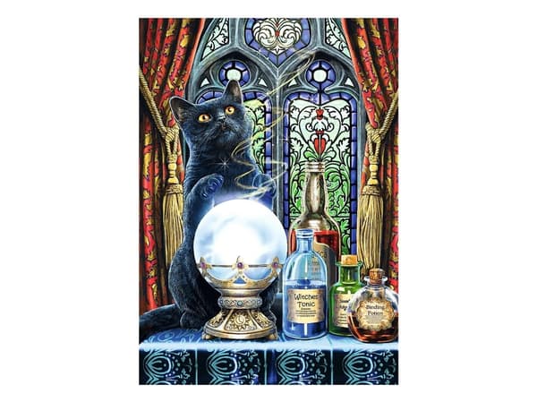 Trefl Premium Plus Quality Magic Collection, 1000 styck, Konst