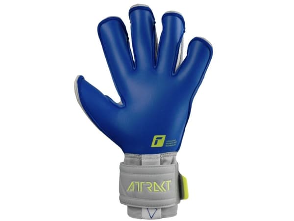Reusch Attrakt Gold X Evolution Cut