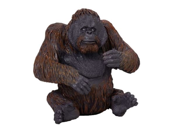 Mojo Orangutan