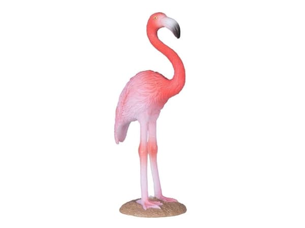 Mojo American Flamingo