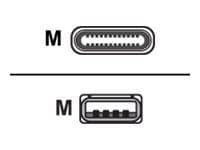 DELTACO USBC-1011M - USB-kabel - USB-C (hann) til USB (hann) - 2 m - hvit