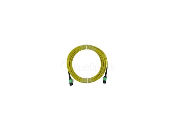 BlueOptics SFP5252BU2MMB, 2 m, MPO, MPO