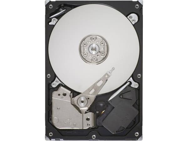 Seagate Pipeline HD ST3320311CS - harddisk - 320 GB - intern - 3,5" - SATA 3Gb/s - buffer: 8 MB