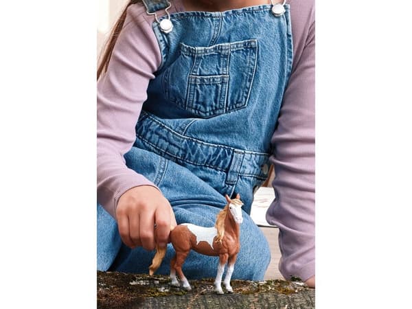 Schleich KWPN vallak