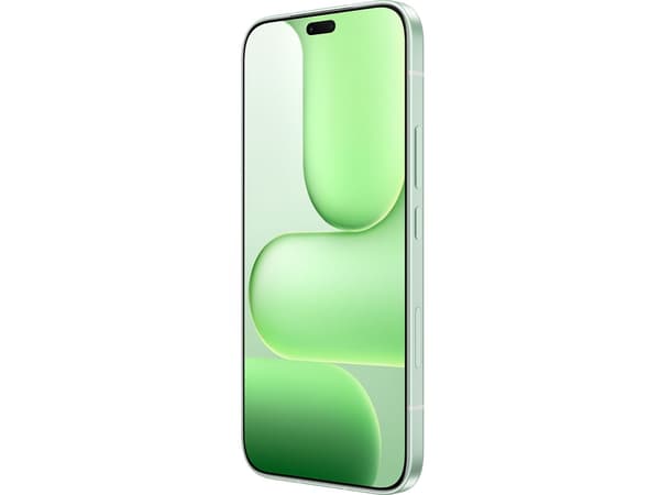 HONOR 600 Lite 8/256GB Žalias