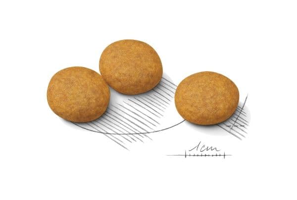 Royal Canin Medium Dermacomfort, Vuxen, Medium (11 - 25 kg), Ris, Grönsaker, 12 kg