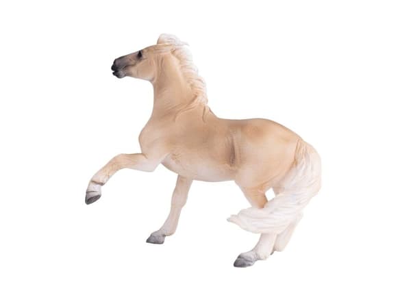 Mojo Brumby hingst