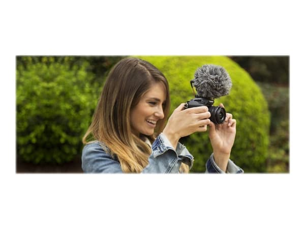 VideoMicro