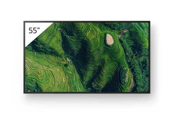 55" Sony BRAVIA FW-55BZ35P Pro 500nit DBNG