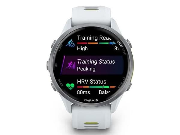 Garmin Forerunner -