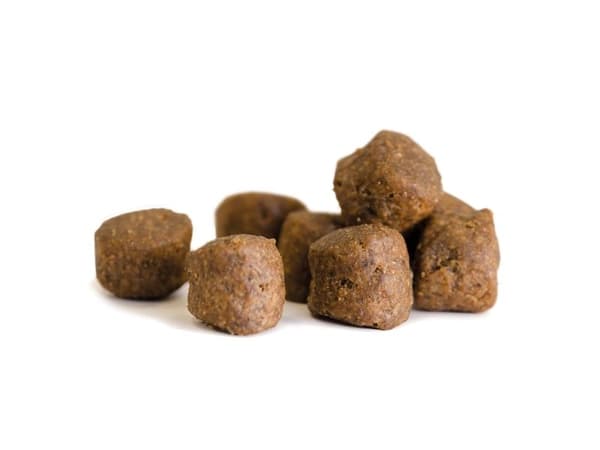 Harmony Adult spannmålsfritt hundfoder 3kg