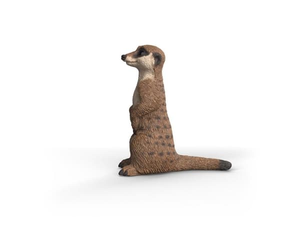 Schleich Meerkat