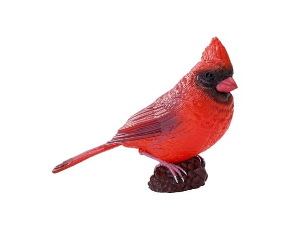 Red Cardinal