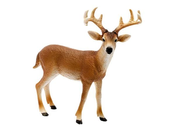 Schleich Wild Life - Hvithalet bukk