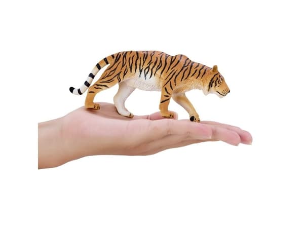 Tiger Hunting