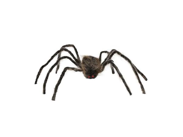 Brun edderkop, 75 cm
