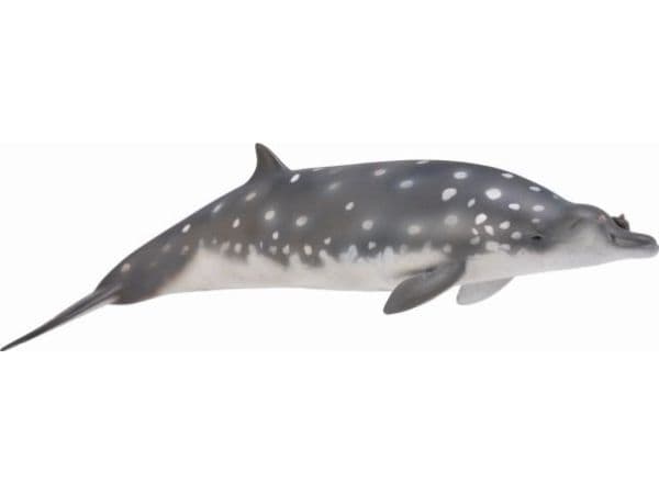 Svart dino med spetsig näbb (L)