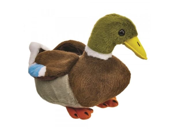 Beppe sinisorsa 18cm