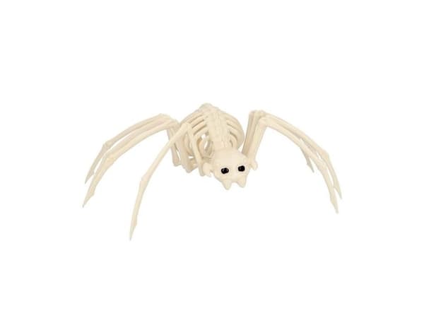 Hämähäkin luuranko, 35 cm