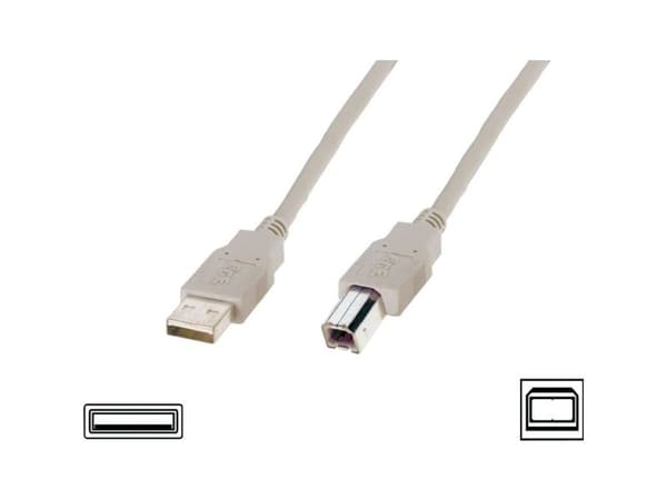 ASSMANN - USB-kabel - USB (hane) till USB typ B (hane) - USB 2.0 - 1.8 m - formpressad - beige